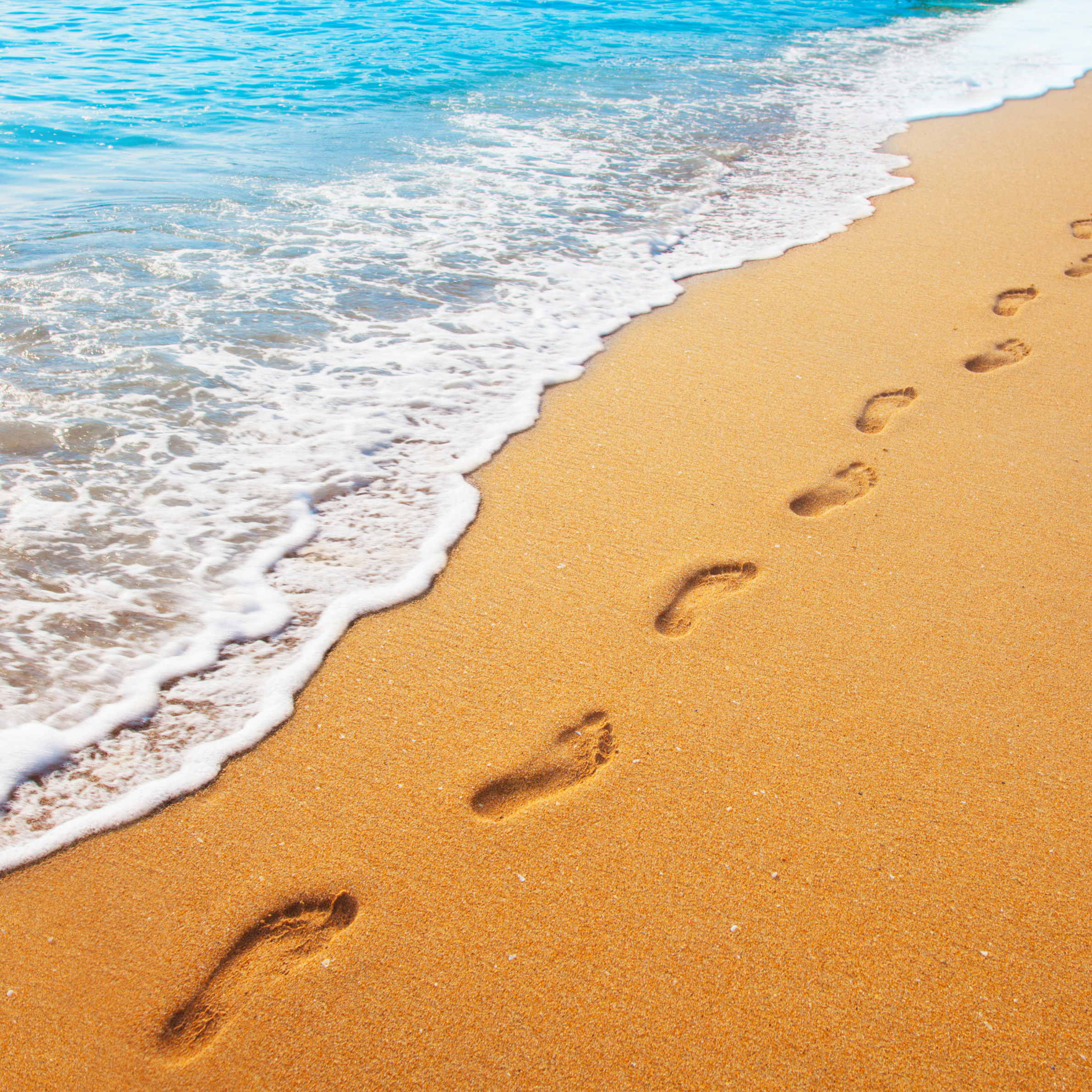Introducing Our 2026 Theme: Footprints of Giving 👣